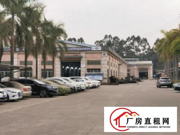  常平新出原房东单一层独院5200平方带装修急租