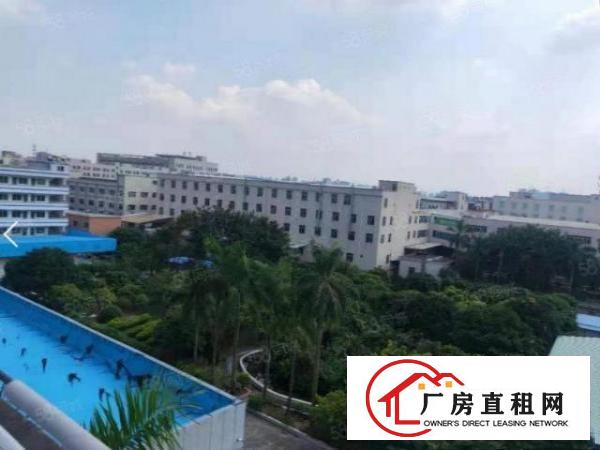  常平标准独院厂房三层9000平方，形象好，可办环评，水电齐全