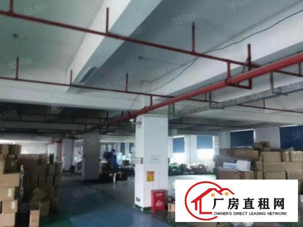  常平标准独院厂房三层9000平方，形象好，可办环评，水电齐全