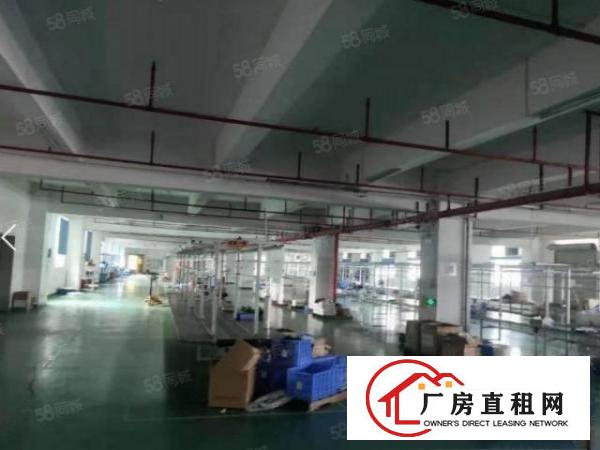  常平标准独院厂房三层9000平方，形象好，可办环评，水电齐全