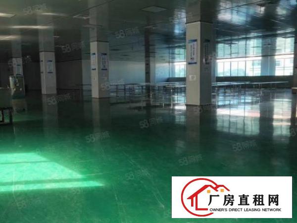  常平黄泥塘工业区13层各1600平，带装修，（大小可以分）