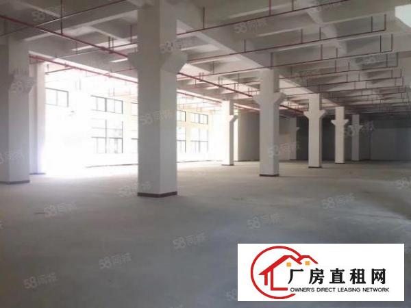  常平黄泥塘工业区13层各1600平，带装修，（大小可以分）