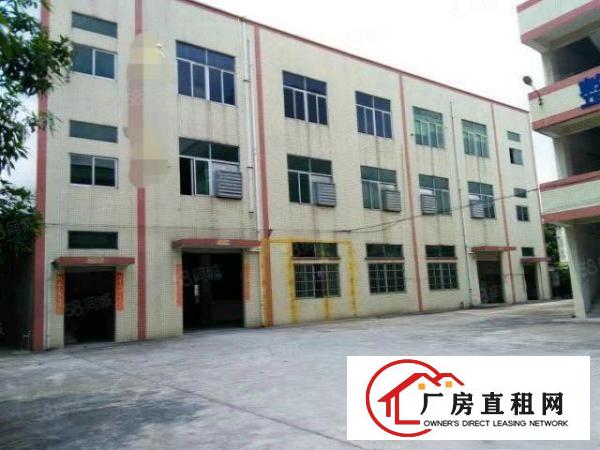  常平九江水原房东独院厂房出租一楼楼上1000平方带装修空地大