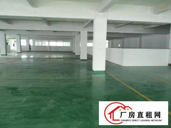  （空地超大）常平花园式精装厂房3000平方招租，可做电子
