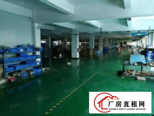  常平镇袁山贝新出（原房东，豪华装修）一楼1000平方出租