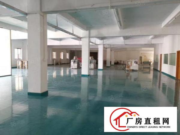  常平形象优美一楼1545平带地坪漆装修正规厂房，口罩机厂