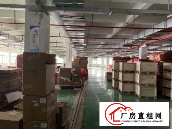  常平大京九塑胶城新出标准独院10000平方，空地3000