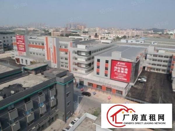  常平木棆小户型，867平，超合适办公，轻加工。