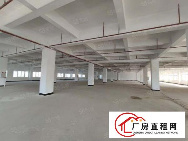  常平木棆小户型，867平，超合适办公，轻加工。