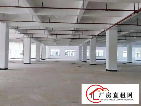  常平木棆小户型，867平，超合适办公，轻加工。