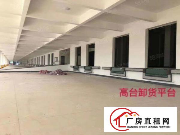  东莞常平新出原房东37218平层高10.5米金刚砂地坪可分租