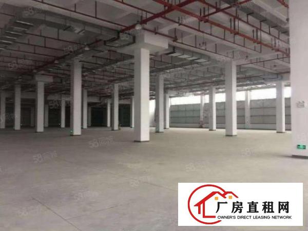  东莞常平新出原房东37218平层高10.5米金刚砂地坪可分租
