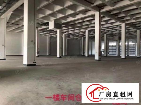  东莞常平新出原房东37218平层高10.5米金刚砂地坪可分租