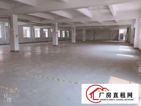  常平新出原房东独门独院标准厂房，工业用地，交通方便