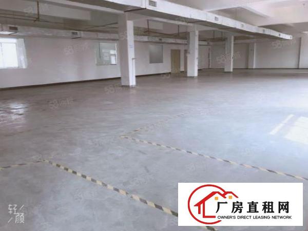  常平新出原房东独门独院标准厂房，工业用地，交通方便