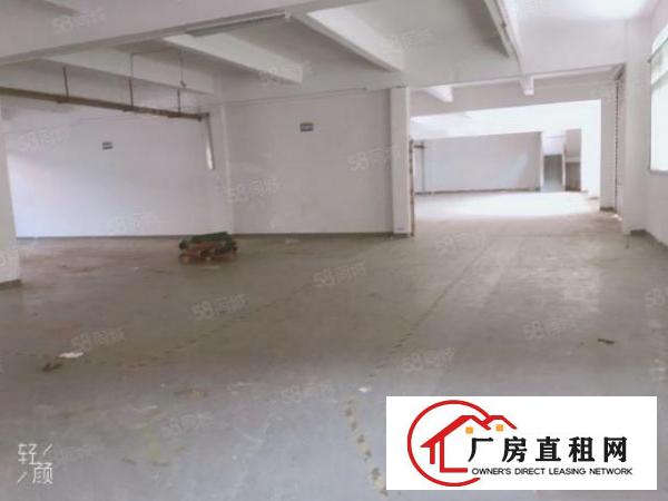  常平新出原房东独门独院标准厂房，工业用地，交通方便