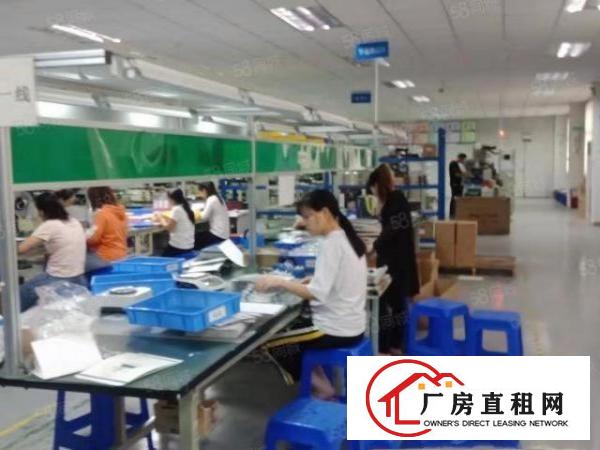  常平袁山贝工业园新出楼上整层1500平方，办公室精装修