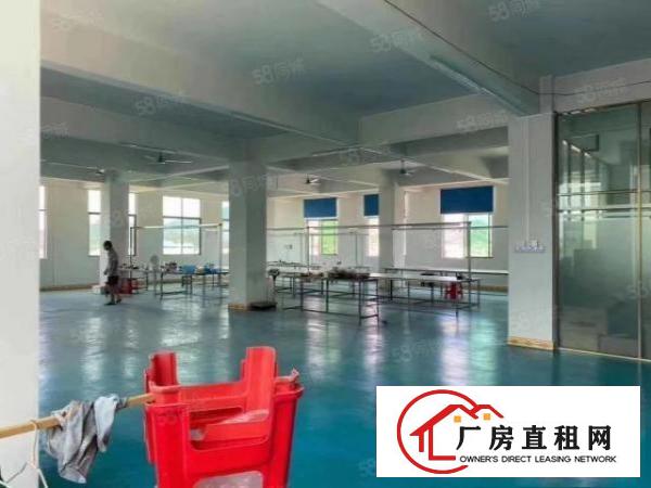  常平园区分租2楼700平带地坪漆主线到位带办公区带消防喷淋