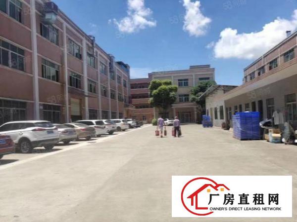  常平原房东标准独院厂房3层5500平出租分租可办环评