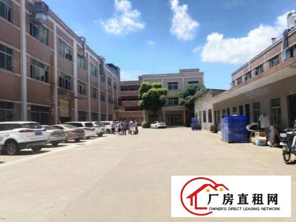  常平原房东标准独院厂房3层5500平出租分租可办环评