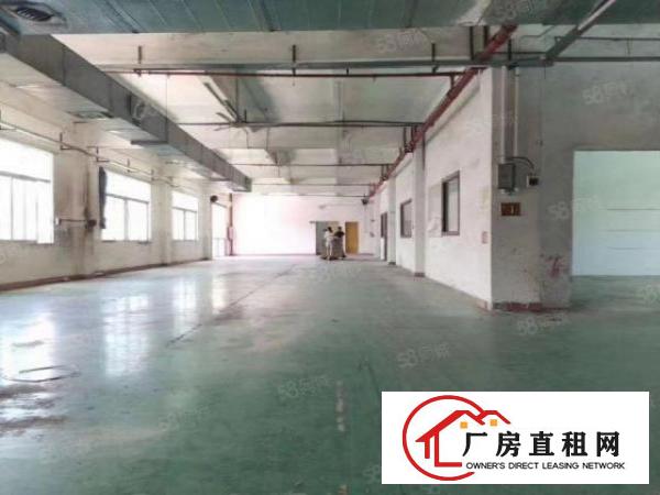  常平原房东标准独院厂房3层5500平出租分租可办环评