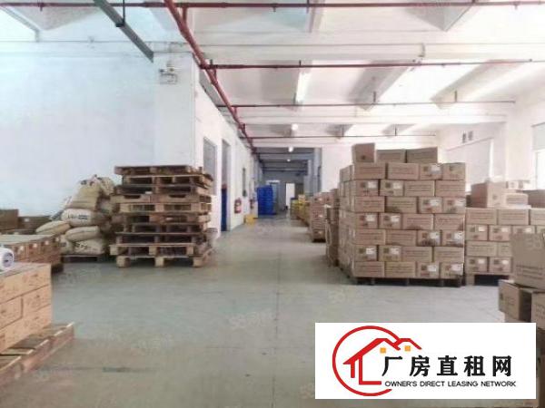  常平原房东标准独院厂房3层5500平出租分租可办环评