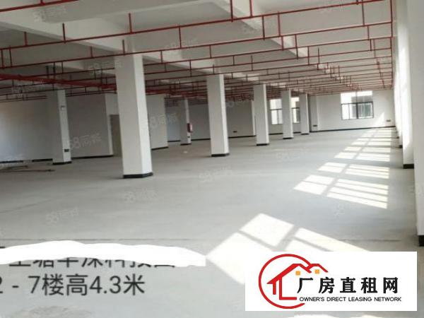  常平全新精装修工业厂房出租可分租有电梯