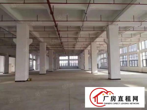  原房东常平火车站旁新出5000平厂房出租形象好