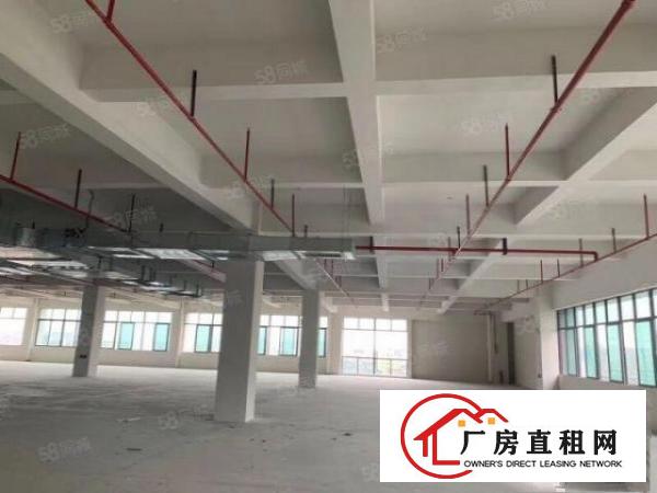  原房东常平火车站旁新出5000平厂房出租形象好