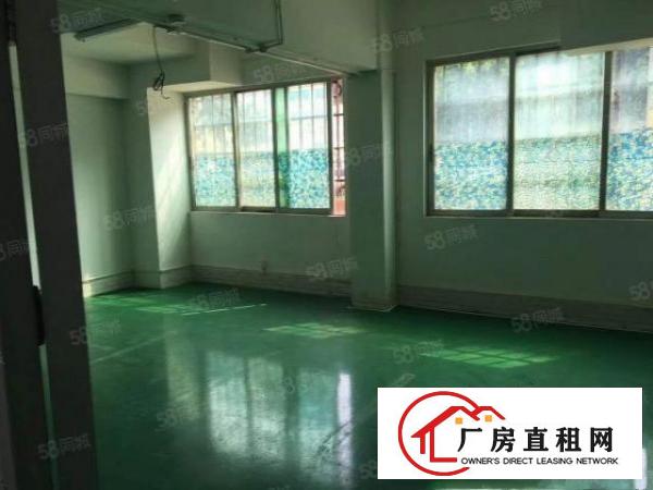  常平新出一楼350平正规厂房出租精装修办公室全新地坪漆