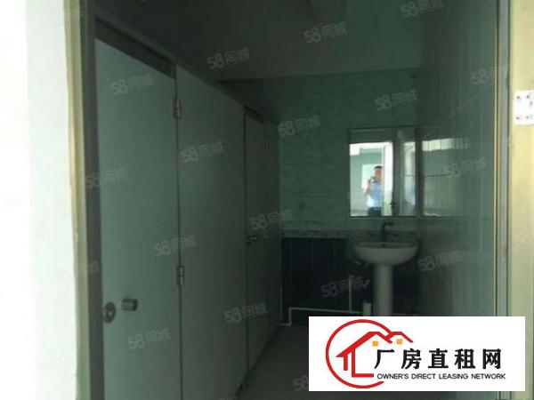  常平新出一楼350平正规厂房出租精装修办公室全新地坪漆