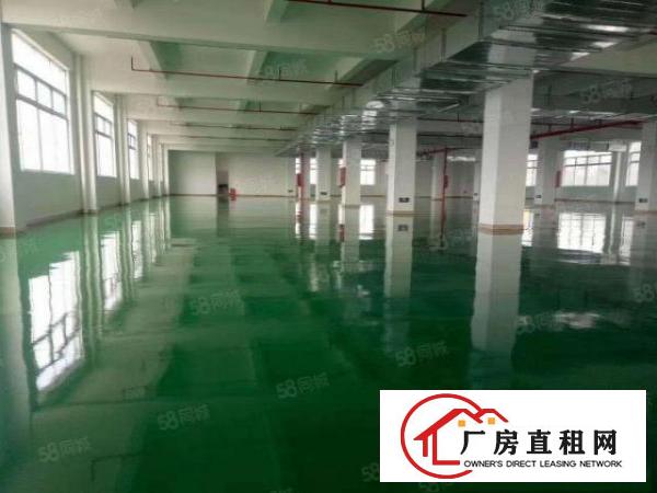  常平袁山贝原房东独门独院5600平方带现成车间装修