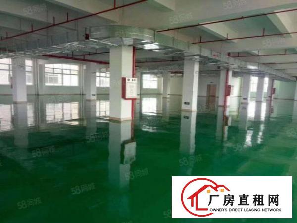  常平袁山贝原房东独门独院5600平方带现成车间装修