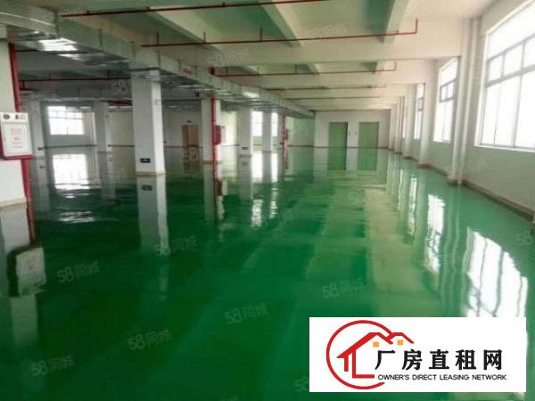  常平袁山贝原房东独门独院5600平方带现成车间装修
