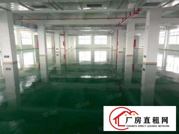  常平袁山贝原房东独门独院5600平方带现成车间装修