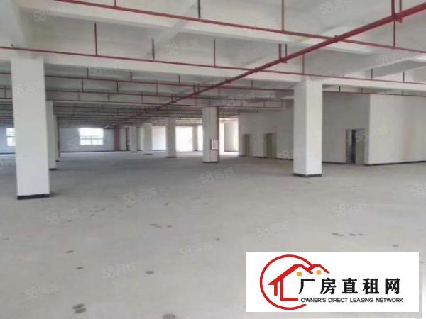  全新厂房楼上只要9元出租正规工业地形象好空地大