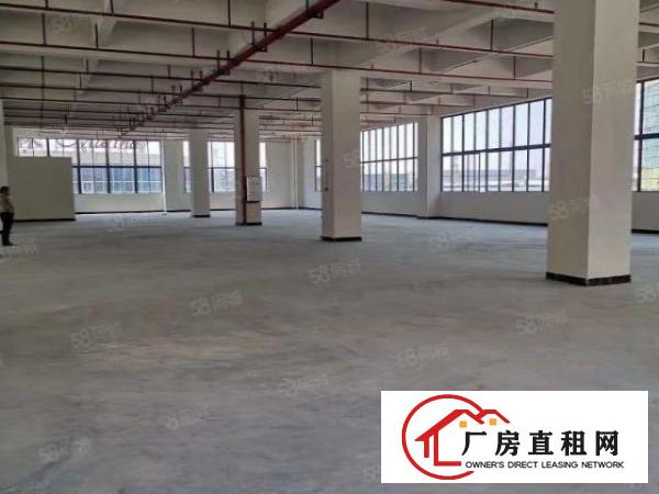  （非中介）常平镇九江平科技智谷自建厂房带国土证红本20万出租