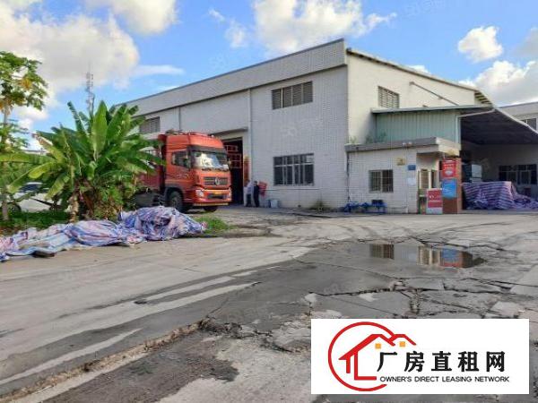  常平原房东单一层独院9300平，10米高低价急租