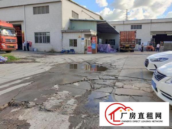  常平原房东单一层独院9300平，10米高低价急租