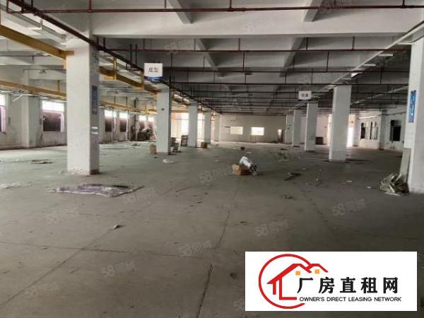  标准独院厂房6000平方，工业集聚地可办环评，水电线路齐全
