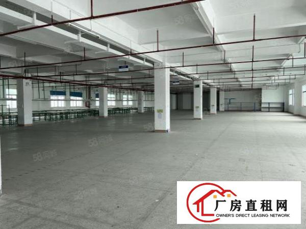  标准独院厂房6000平方，工业集聚地可办环评，水电线路齐全
