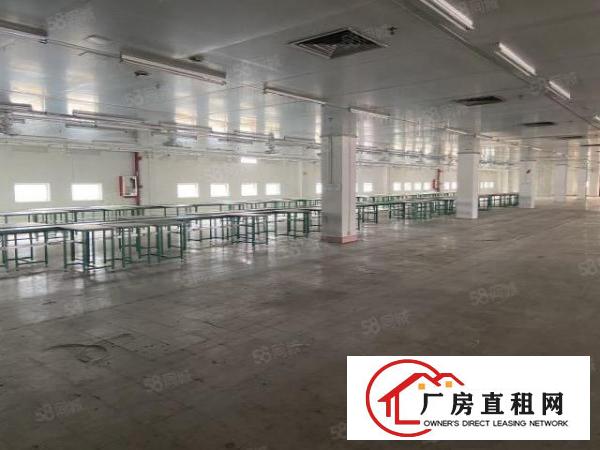  标准独院厂房6000平方，工业集聚地可办环评，水电线路齐全