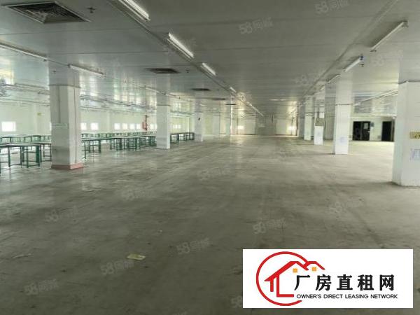  标准独院厂房6000平方，工业集聚地可办环评，水电线路齐全