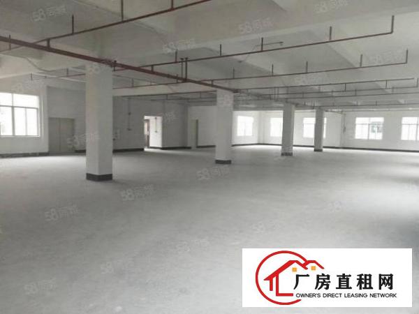  常平工业园厂房2000平方招租，带消防喷淋，可做抽粒