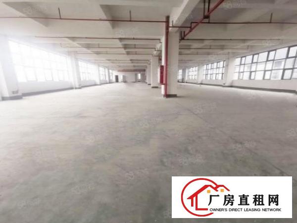  常平工业园厂房2000平方招租，带消防喷淋，可做抽粒