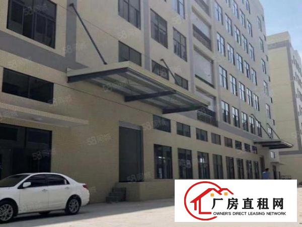  常平桥沥一二楼2380平米精装修可分租