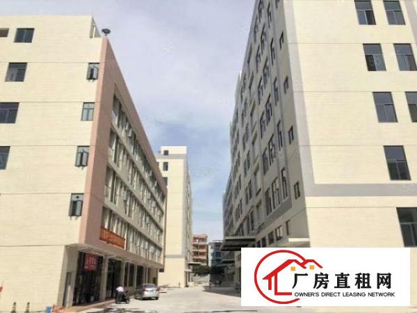  常平桥沥一二楼2380平米精装修可分租