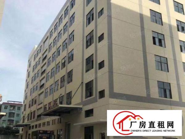  常平桥沥一二楼2380平米精装修可分租