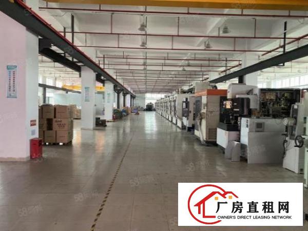  常平高速路口新出标准独院15000平方，一楼高6米带行车