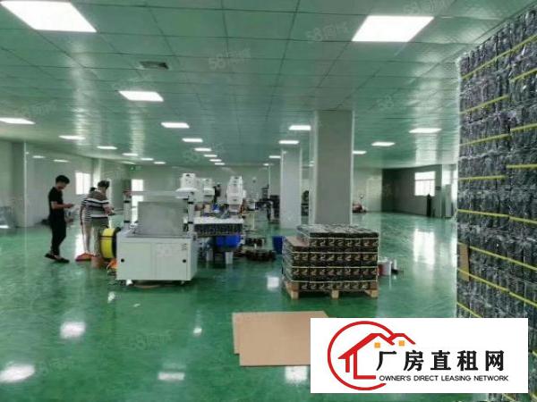  （精装修）常平无尘车间3000平方招租，可做食品加工
